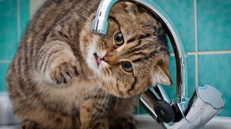 28 жовтня на окремих вулицях в Соснівці не буде води!